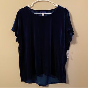 Simply Styled Velvet Top